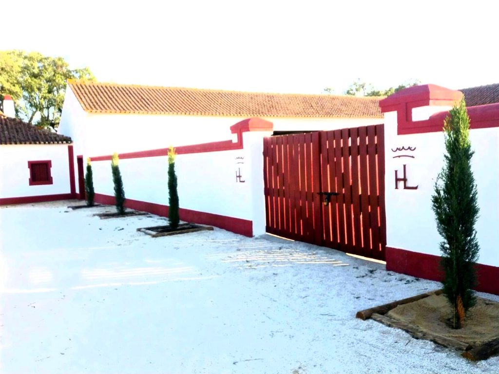 Caça & Tour
