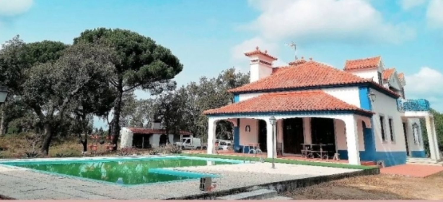 Caça & Tour