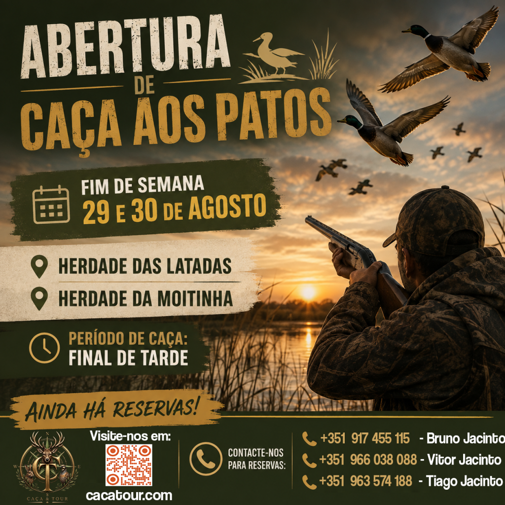Caça & Tour