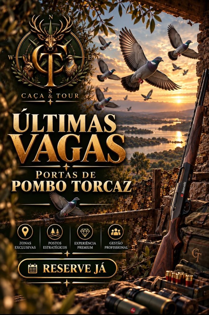 Caça & Tour